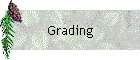 Grading