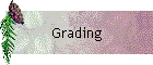 Grading