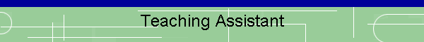Teaching Assistant