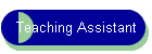 Teaching Assistant