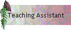 Teaching Assistant
